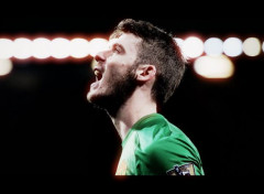  Sports - Leisures David De Gea