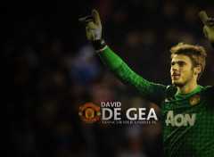  Sports - Leisures David De Gea