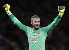  Sports - Loisirs David De Gea