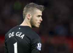  Sports - Leisures David De Gea