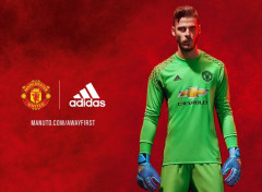  Sports - Leisures David De Gea