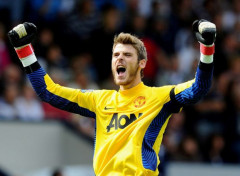  Sports - Leisures David De Gea