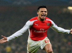  Sports - Leisures Alexis Sanchez