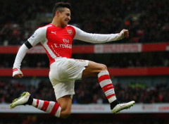  Sports - Leisures Alexis Sanchez