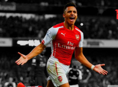  Sports - Leisures Alexis Sanchez