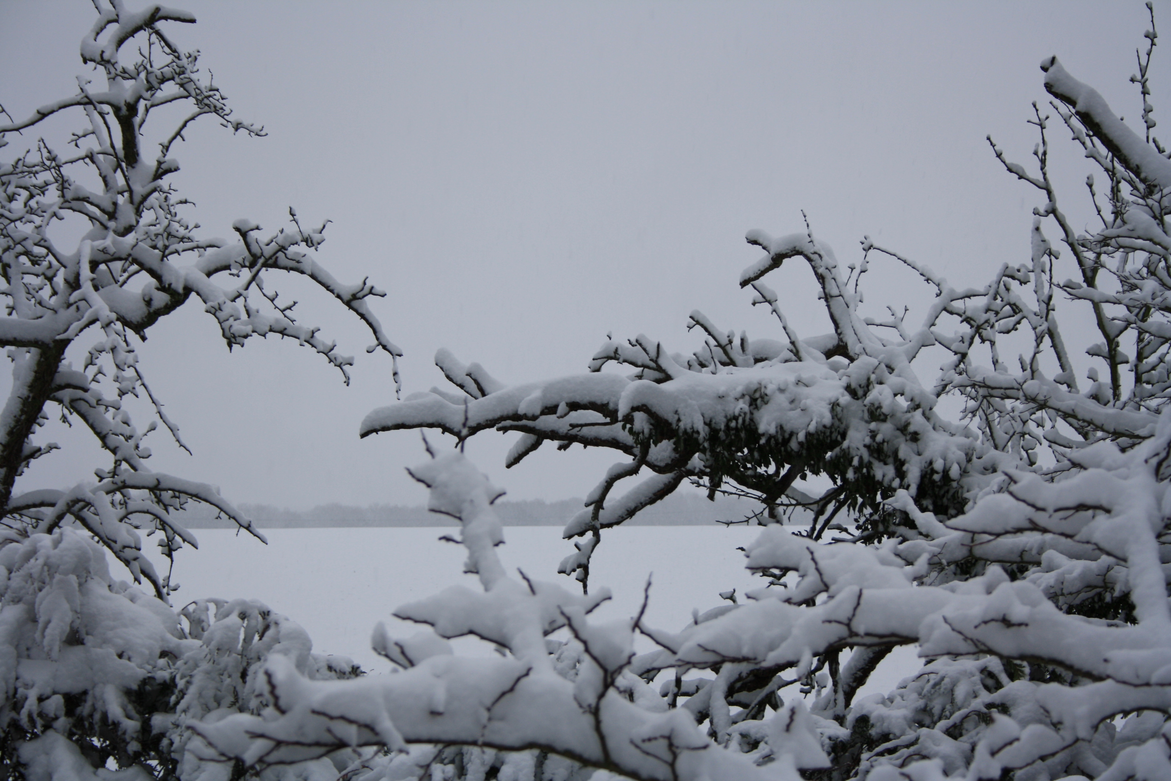 Fonds d'cran Nature Saisons - Hiver Hiver