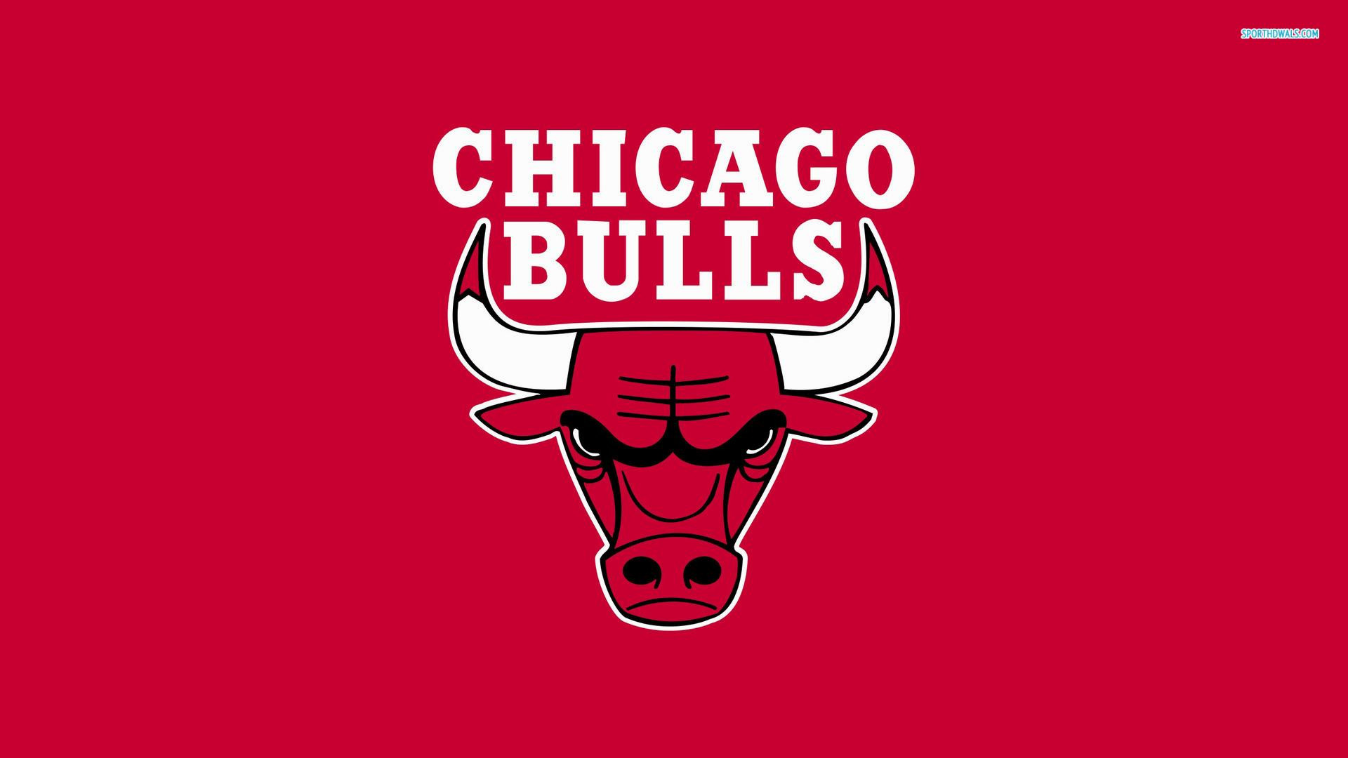 Fonds d'cran Sports - Loisirs Bulls Chicago 