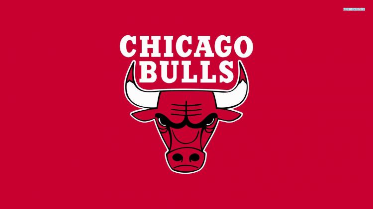 Fonds d'cran Sports - Loisirs Bulls Chicago Wallpaper N455672