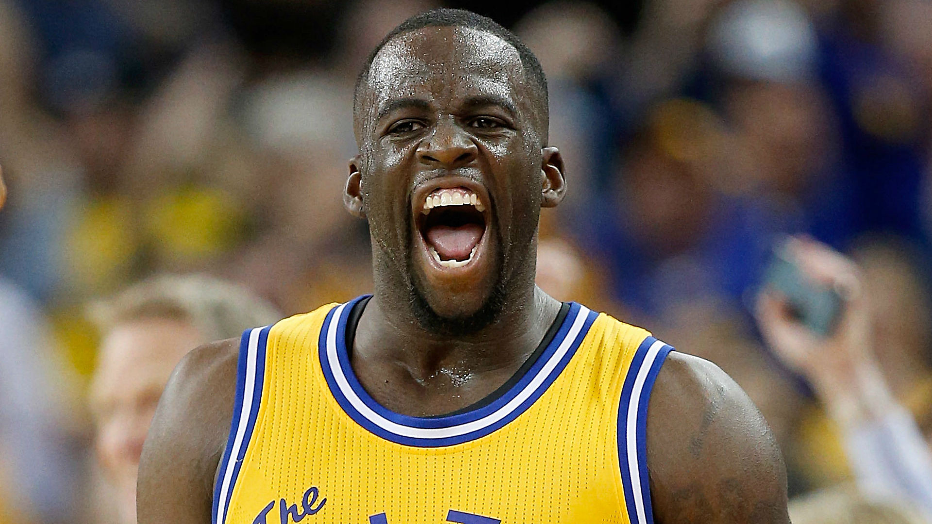 Fonds d'cran Sports - Loisirs Draymond Green 