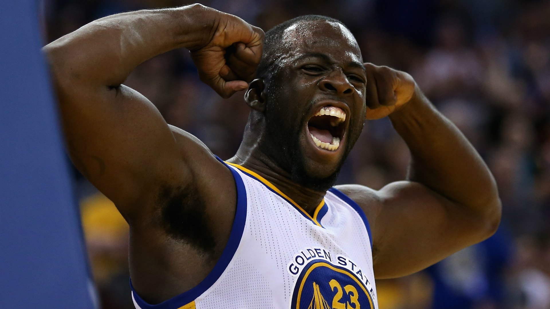 Wallpapers Sports - Leisures Draymond Green 