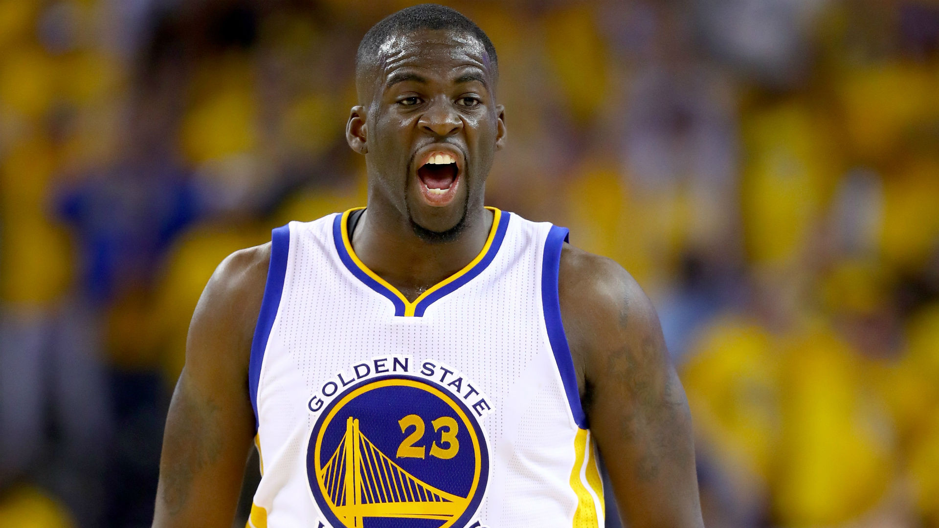 Wallpapers Sports - Leisures Draymond Green 