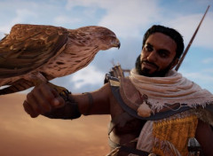  Video Games Assassin's Creed® Origins