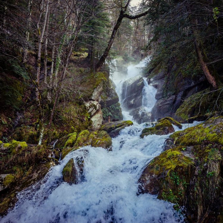 Fonds d'cran Nature Fleuves - Rivires - Torrents Rivire dans les Pyrnes, Larrau - passerelle d'Holzart par le pont de Namubie