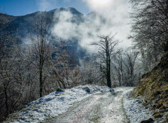  Nature Paysage de neige dans les Pyrnes, Larrau - passerelle d'Holzart par le pont de Namubie