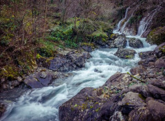  Nature Rivire dans les Pyrnes, Larrau - passerelle d'Holzart par le pont de Namubie