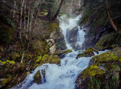  Nature Rivire dans les Pyrnes, Larrau - passerelle d'Holzart par le pont de Namubie