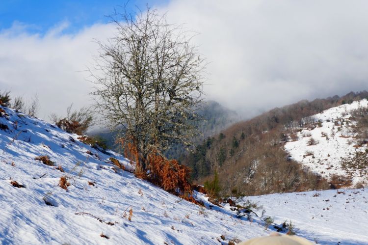 Fonds d'cran Nature Montagnes Entre Payolle et les Escloses, Pyrnes atlantiques