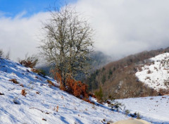  Nature Entre Payolle et les Escloses, Pyrnes atlantiques