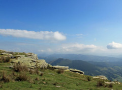  Nature au sommet de la Rhune (pays basque)