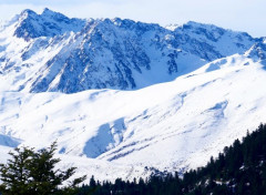  Nature Randonnée de Payolle  à Espiadet par le col de Beyrède, Pyrénées