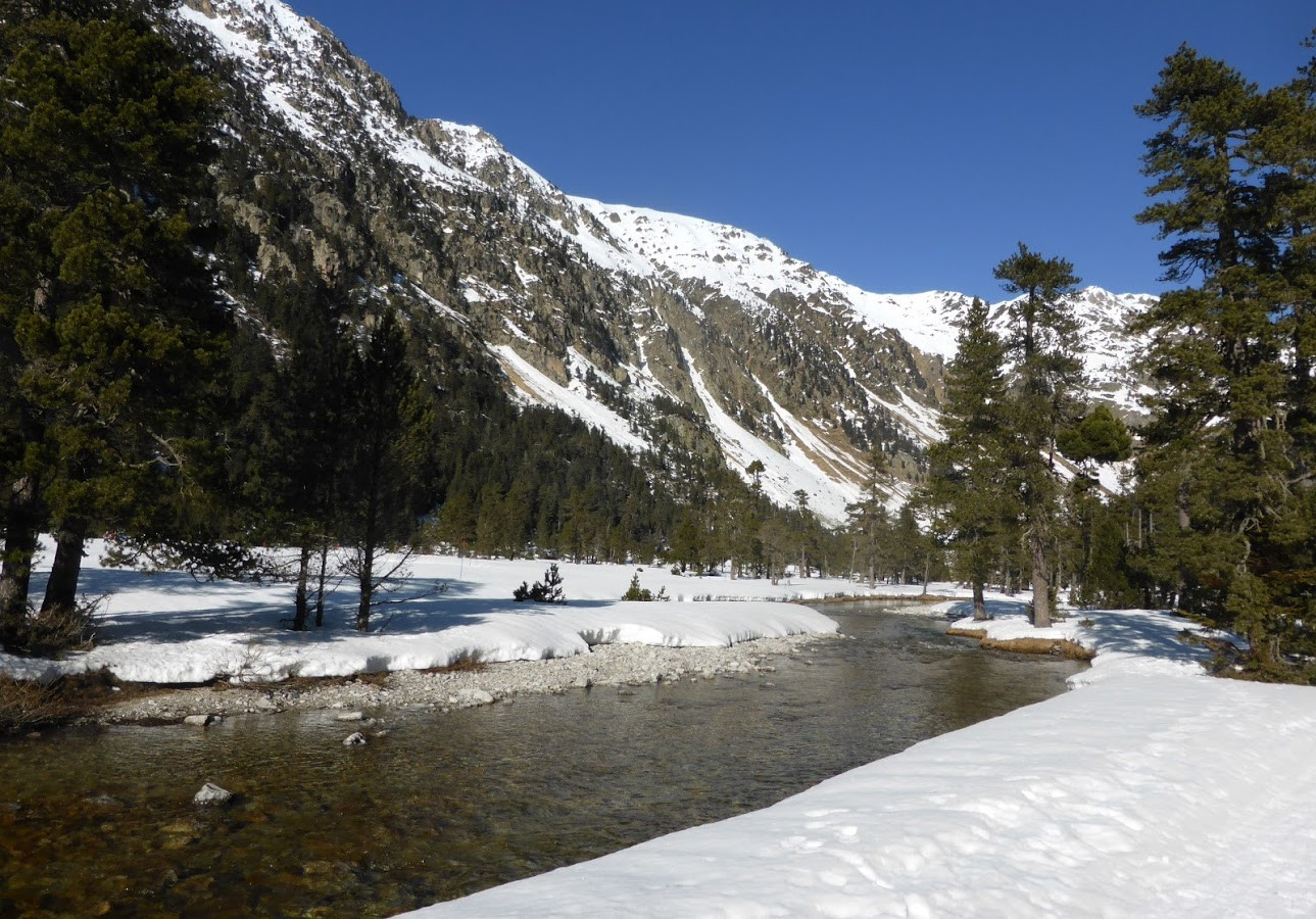 Fonds d'cran Nature Fleuves - Rivires - Torrents Rivire du ct de Pont d'Espagne, Cauterets, Marcadau, hautes-Pyrnes