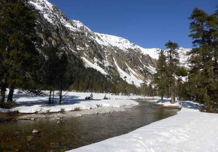 Fonds d'cran Nature Fleuves - Rivires - Torrents Rivire du ct de Pont d'Espagne, Cauterets, Marcadau, hautes-Pyrnes