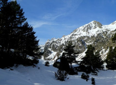  Nature Montagne du ct de Pont d'Espagne, Cauterets, Marcadau, hautes-Pyrnes