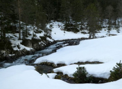  Nature Rivire du ct de Pont d'Espagne, Cauterets, Marcadau, hautes-Pyrnes