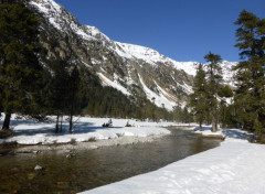  Nature Rivire du ct de Pont d'Espagne, Cauterets, Marcadau, hautes-Pyrnes