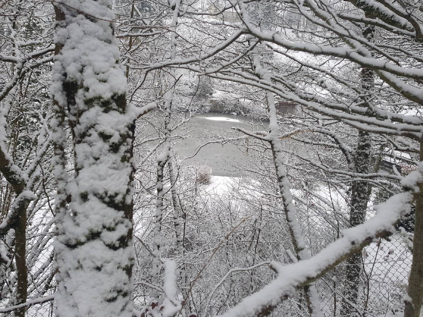 Fonds d'cran Nature Saisons - Hiver 