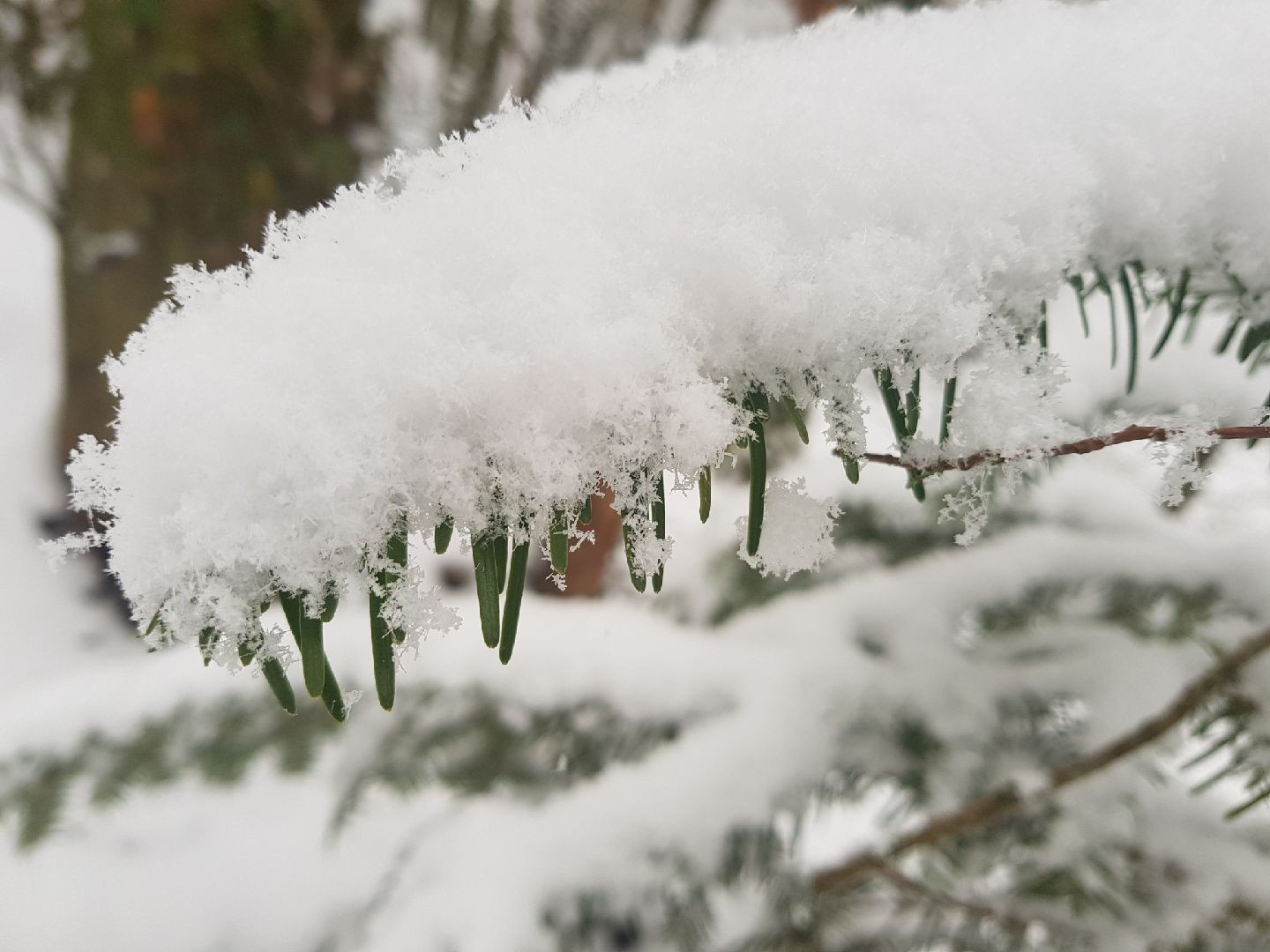 Fonds d'cran Nature Saisons - Hiver 