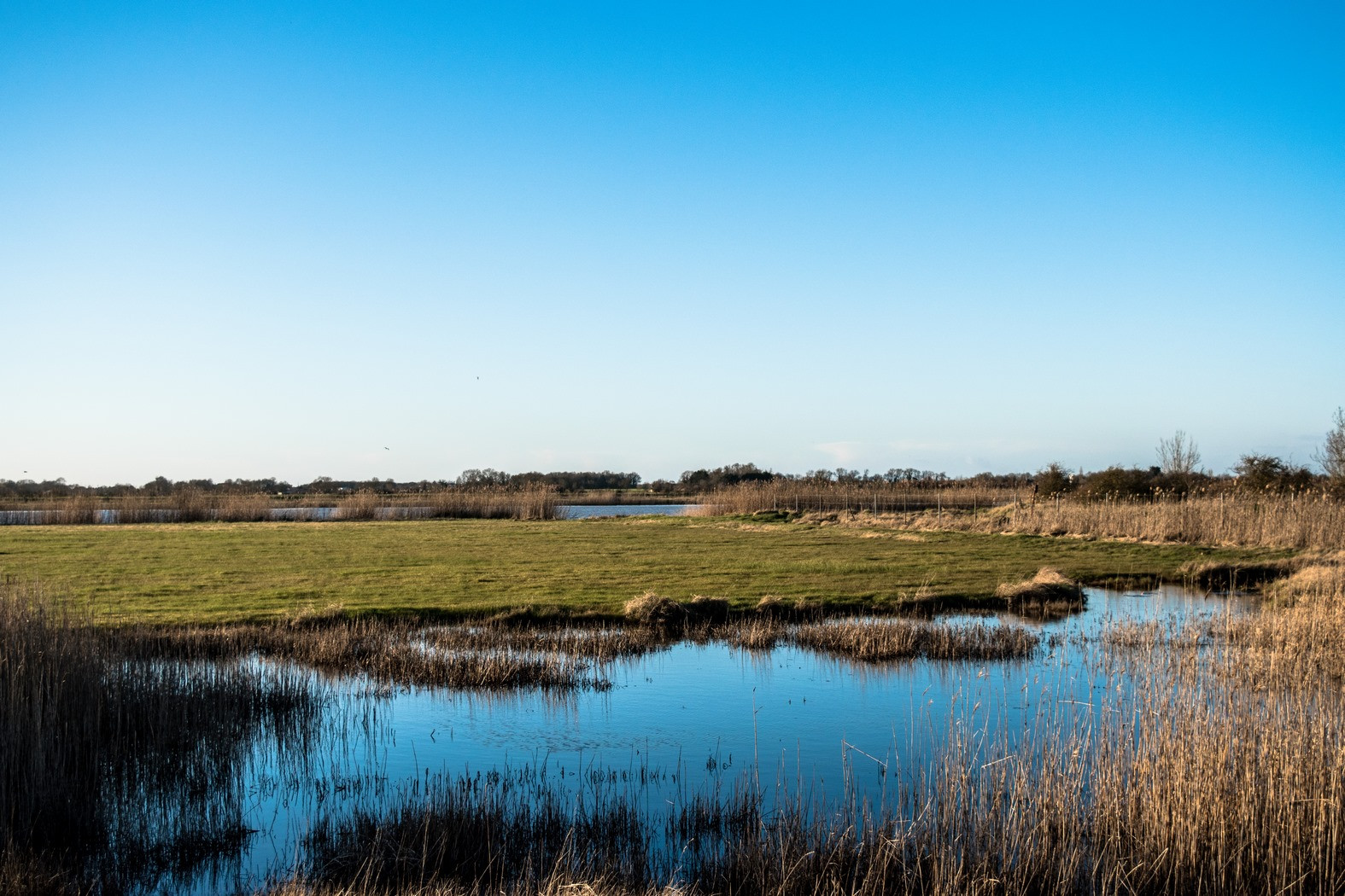 Fonds d'cran Art - Numrique Nature - Paysages 