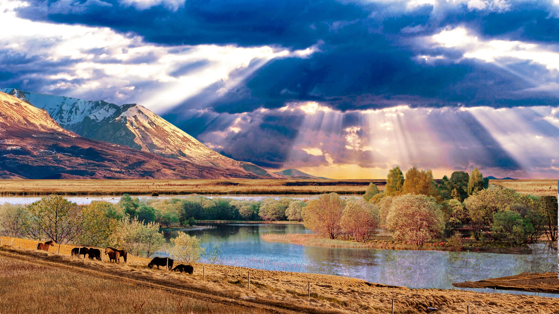 Fonds d'cran Art - Numrique Nature - Paysages Chevaux au bord du lac