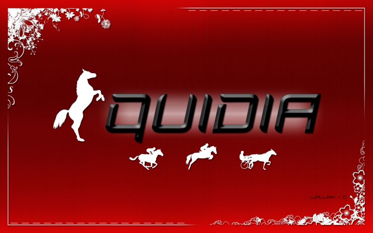 Wallpapers Sports - Leisures Horseriding Equidia