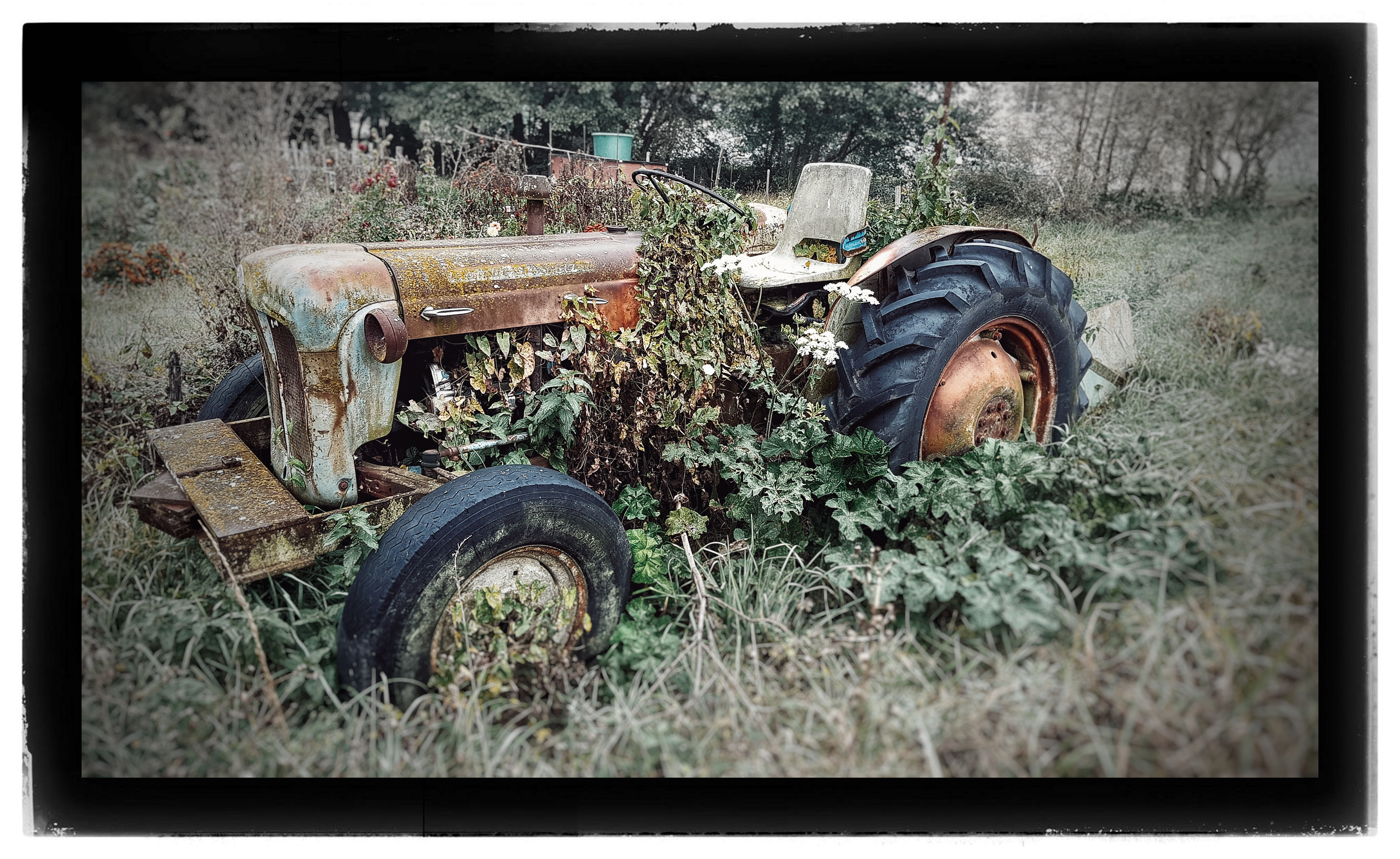 Fonds d'cran Transports divers Tracteurs 