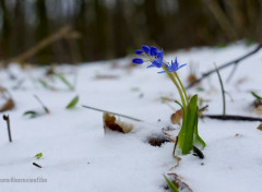  Nature Nous survivrons ! 2.