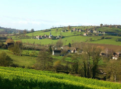  Nature Vue sur Camembert (61)