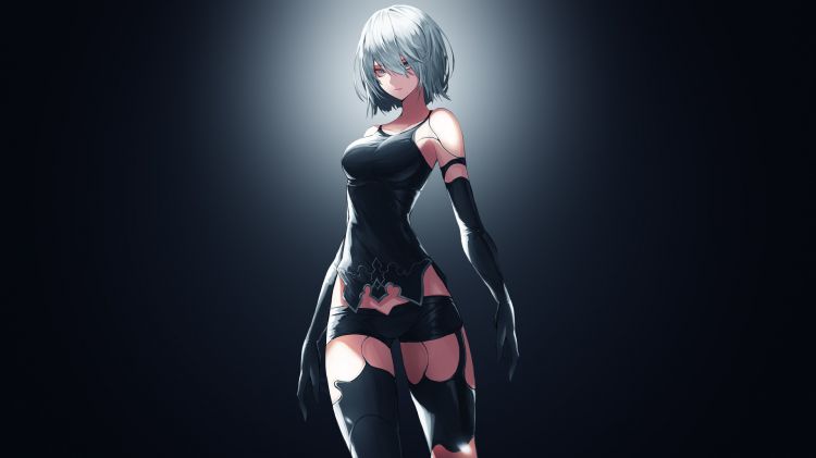 Fonds d'cran Jeux Vido NieR Automata Wallpaper N459454