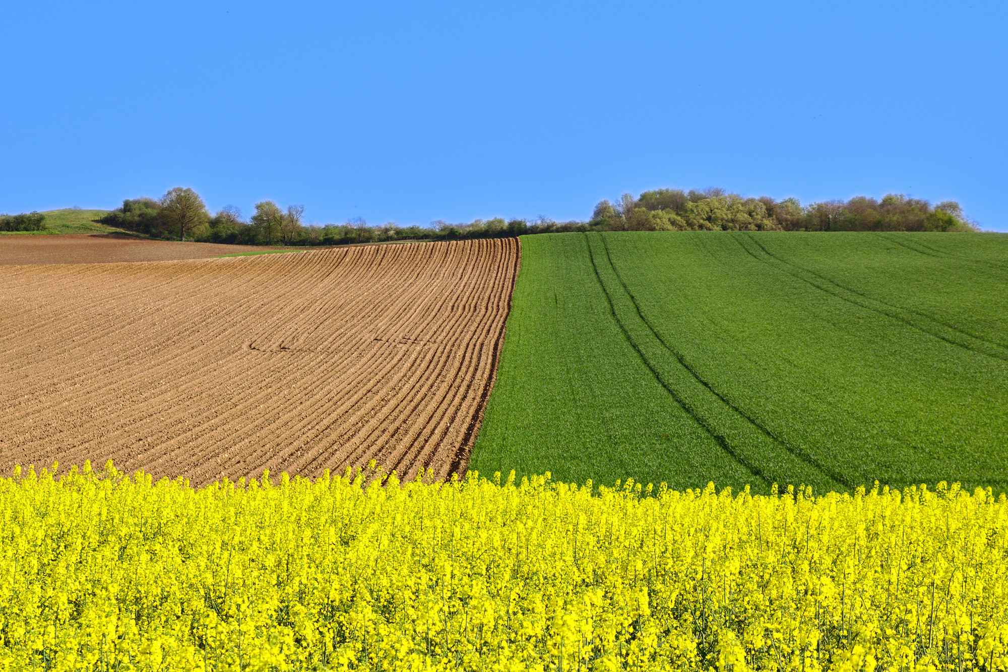 Wallpapers Nature Fields 