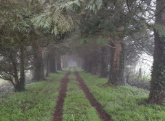  Nature Le sentier