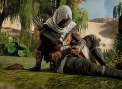  Video Games Assassin's Creed® Origins