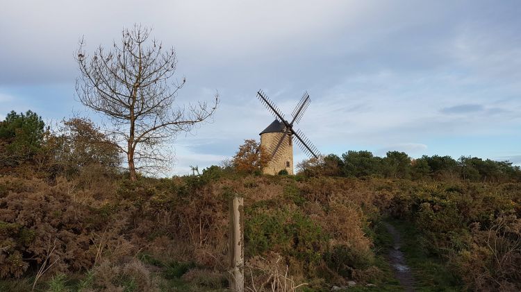 Fonds d'cran Constructions et architecture Moulins - Eoliennes Moulin restauré de Saint-Jacut-Les-Pins