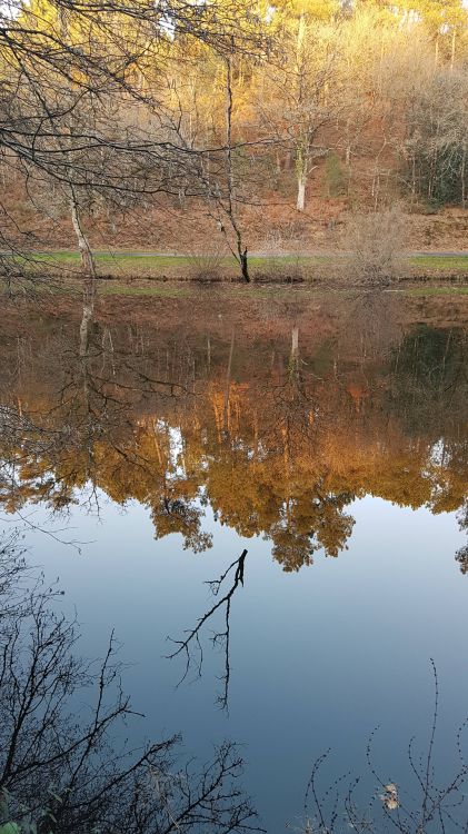 Fonds d'cran Nature Eau - Reflets Reflet.