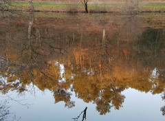  Nature Reflet.