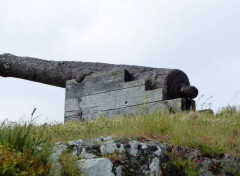  Objets Canon La Roche-Bernard