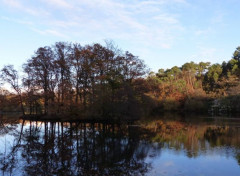  Nature L'île aux Pies 02