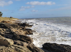  Nature Plage de Damgan 01