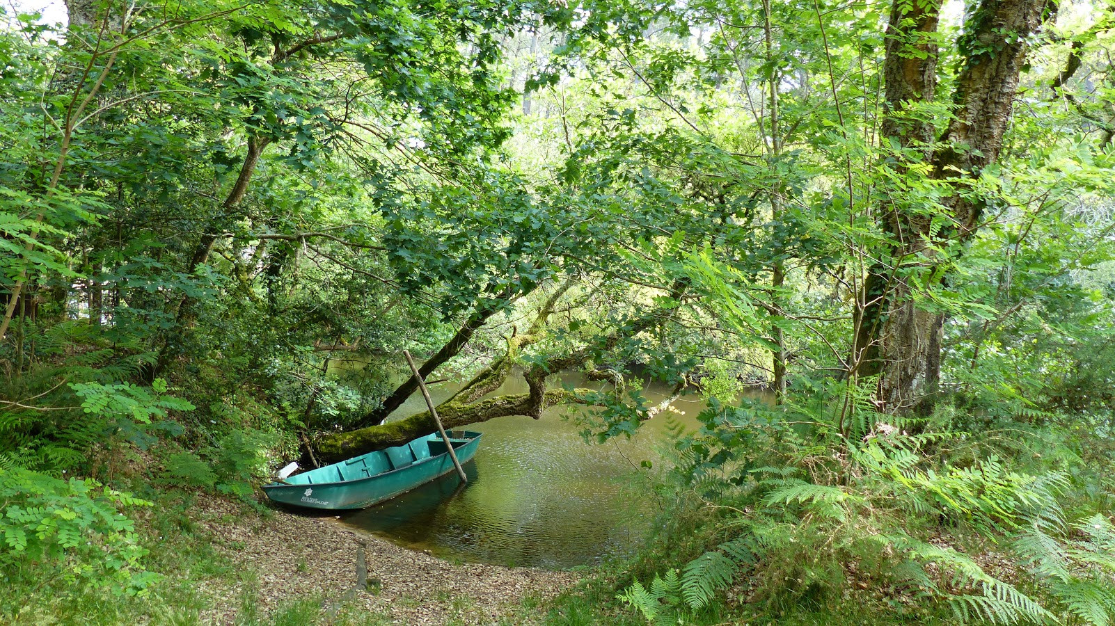 Wallpapers Nature Rivers - Torrents Courant du Huchet, l'Amazonie, franaise, Landes