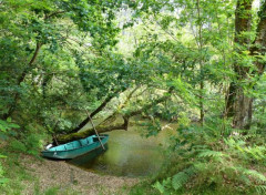  Nature Courant du Huchet, l'Amazonie, franaise, Landes