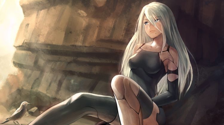 Fonds d'cran Jeux Vido NieR Automata Wallpaper N460553